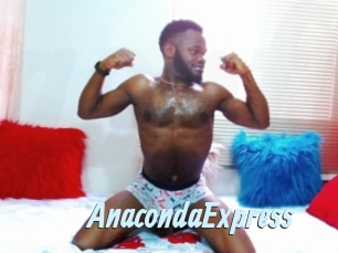 AnacondaExpress