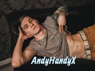 AndyHandyX