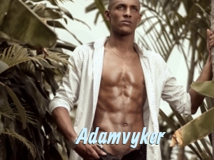 Adamvyker