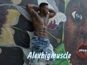 Alexbigmuscle