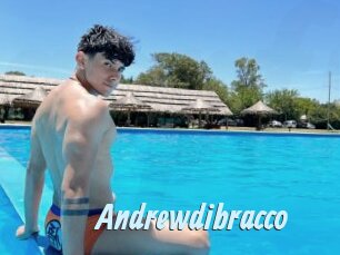 Andrewdibracco