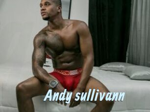 Andy_sullivann