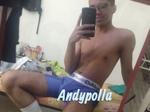 Andypolla