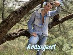 Andysgeert