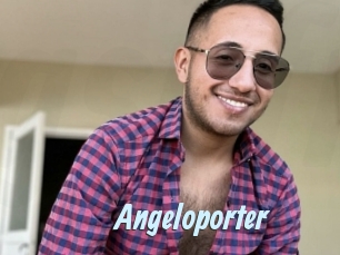 Angeloporter