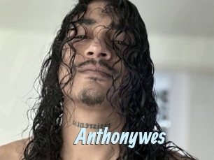 Anthonywes