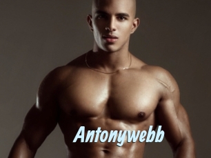 Antonywebb