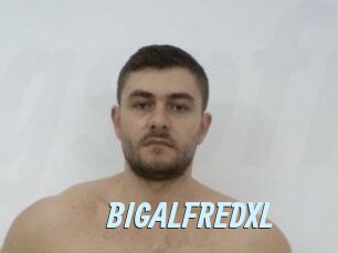 BIGALFREDXL