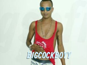 BIGCOCKBOYY