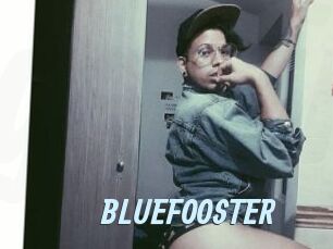 BLUEFOOSTER