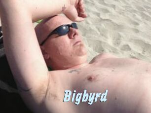 Bigbyrd