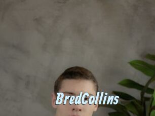 BredCollins