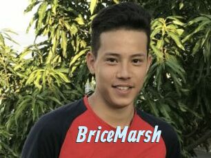 BriceMarsh