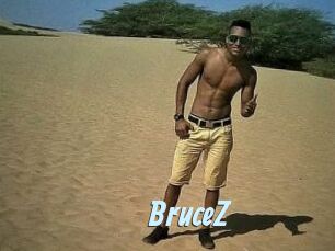 BruceZ