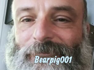 Bearpig001