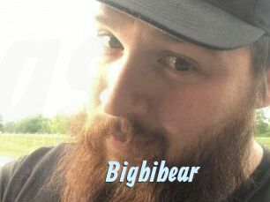 Big_bi_bear