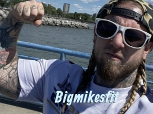 Bigmikesfit