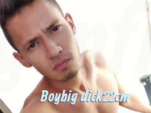 Boybig_dick22cm