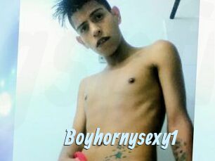 Boyhornysexy1