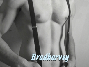 Bradharvey