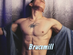 Brucemill