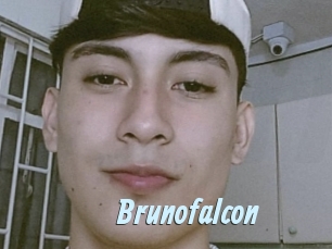 Brunofalcon