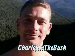 CharleyInTheBush