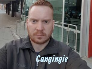 Cangingie