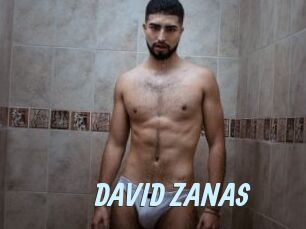 DAVID_ZANAS