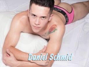 Daniel_Schmid