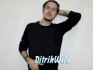 DitrihWild