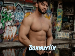 Donmerlin