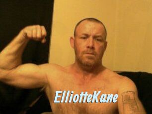 Elliotte_Kane