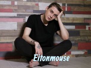 Eitonmouse