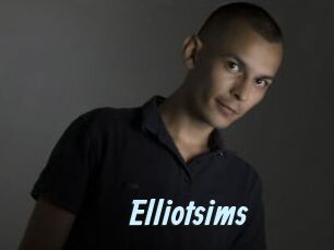 Elliotsims