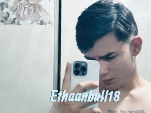 Ethaanbull18