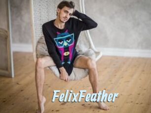 FelixFeather