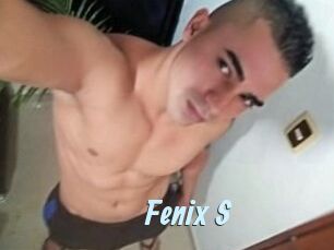 Fenix_S