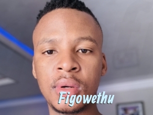 Figowethu