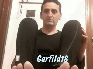 Garfild18