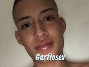 Garfiosex