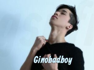 Ginobadboy