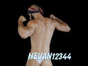 HEVAN12344