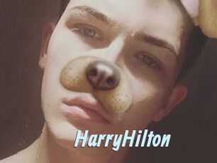 HarryHilton