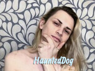 HauntedDog