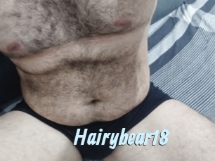 Hairybear18