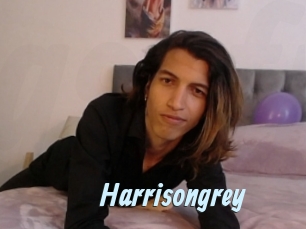 Harrisongrey