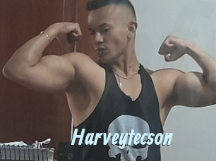 Harveytecson