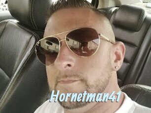 Hornetman41