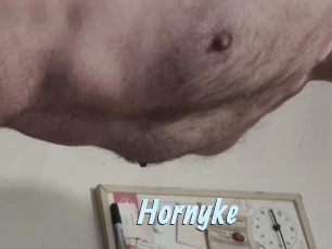 Hornyke